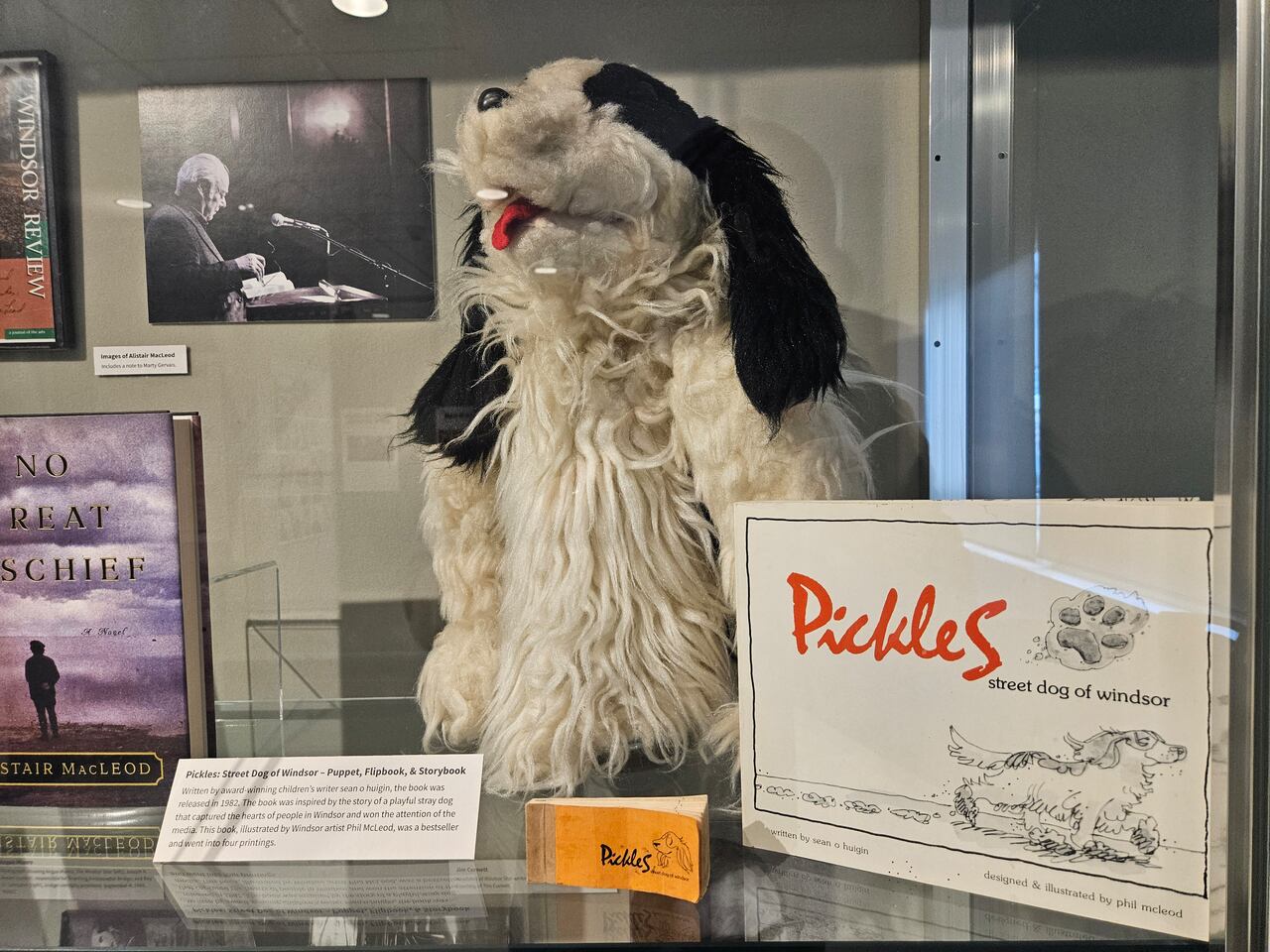Remembering Pickles: Windsor's street dog