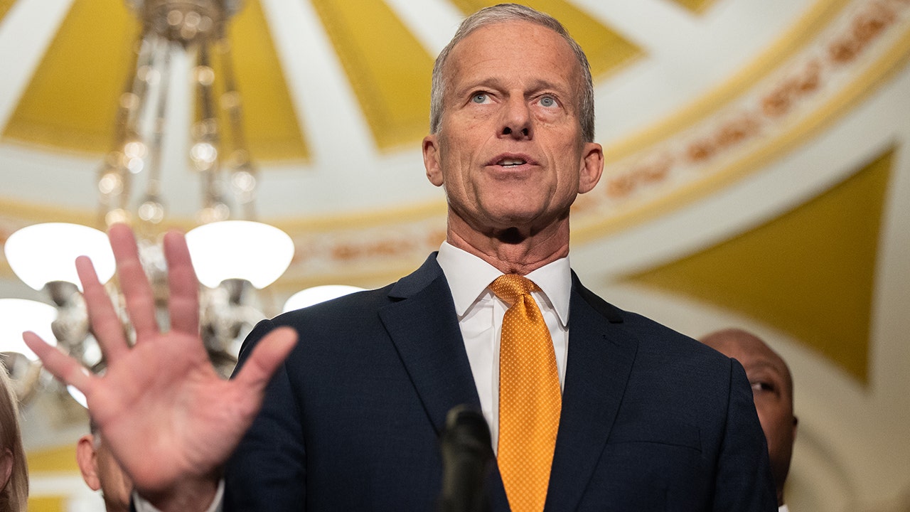 Senate Majority Leader John Thune, R-S.D., speaks at a press conference with other members of Senate Republican leadership following a policy luncheon in Washington, D.C. on Oct. 28, 2025
