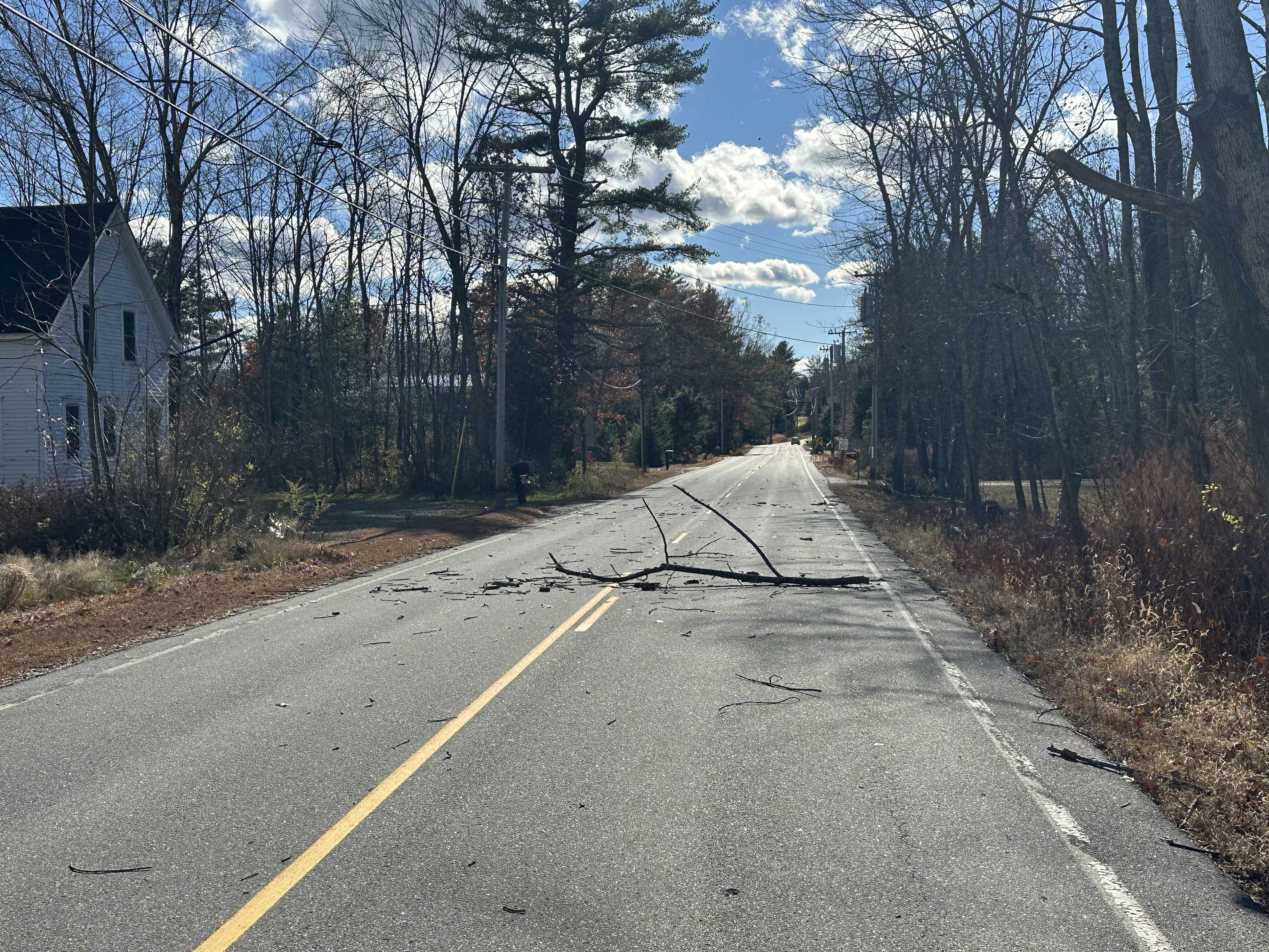 Thousands lose power as strong winds bring down branches, power lines ...
