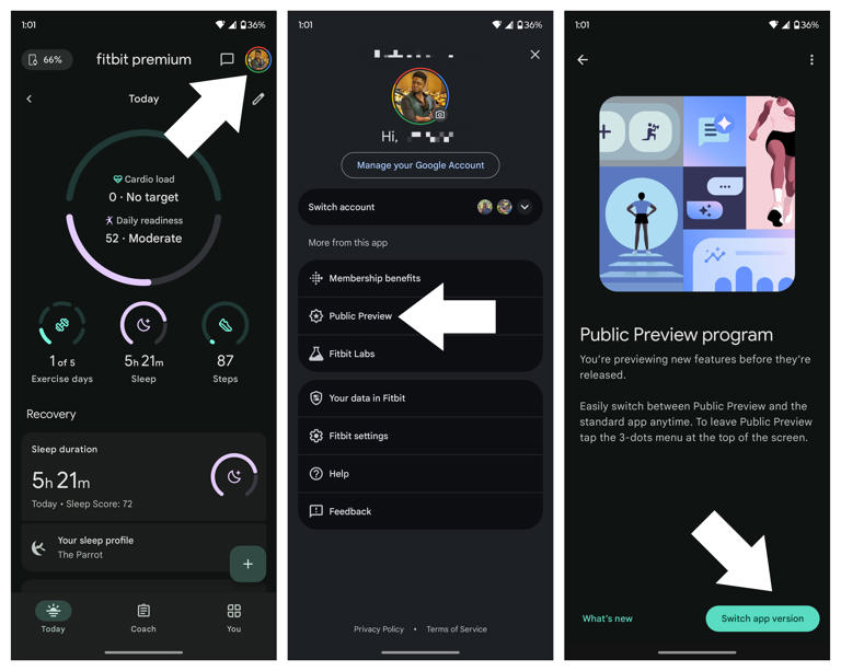 How to get started with the Fitbit AI personal health coach and app ...