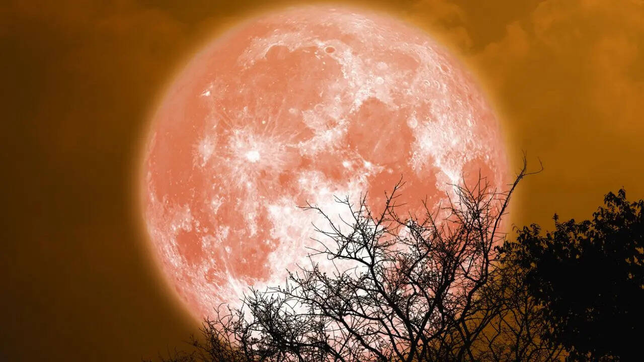 Moon Tonight: Don’t Miss The November Full Beaver Supermoon — 2025’s ...