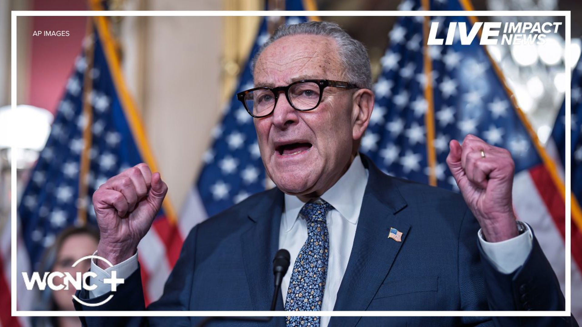 Senate Democrats address federal government shutdown
