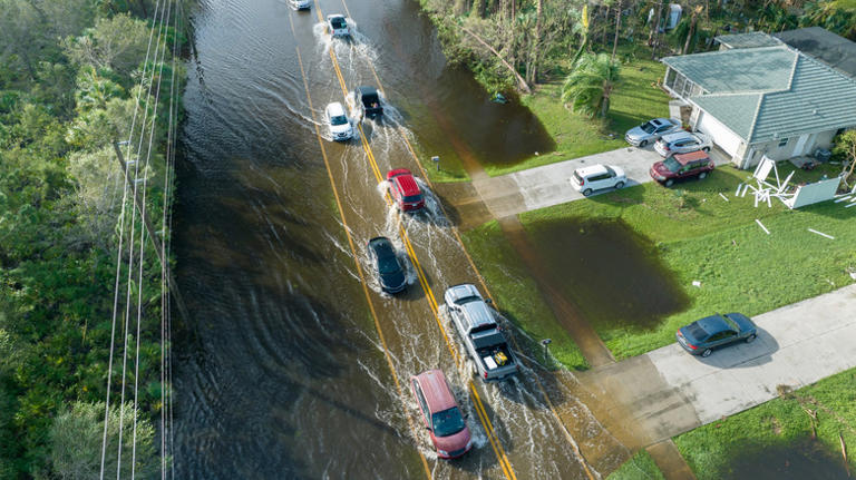 Some Florida Residents Will Be Getting An Auto Insurance Refund - Here ...