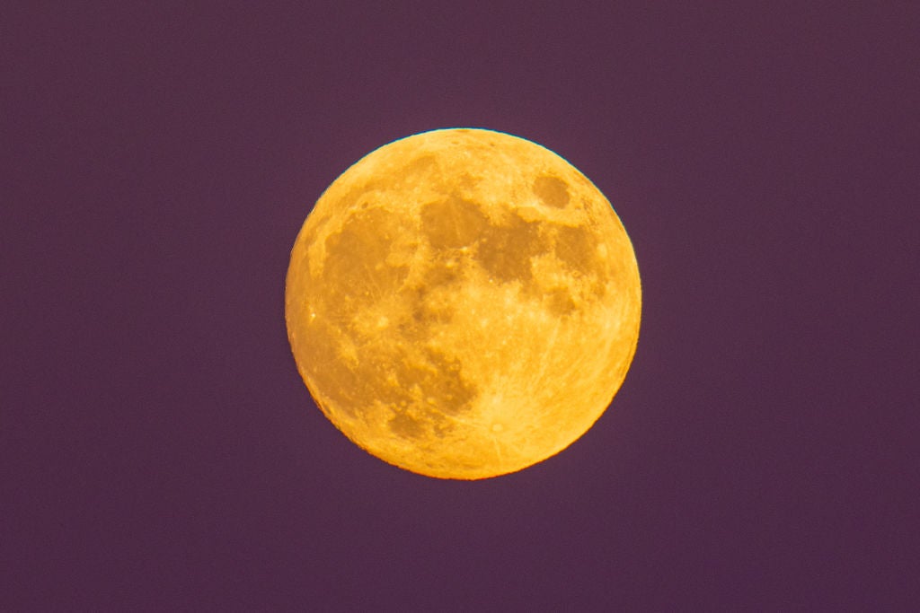 November Supermoon: When to see the biggest and brightest Moon of the year