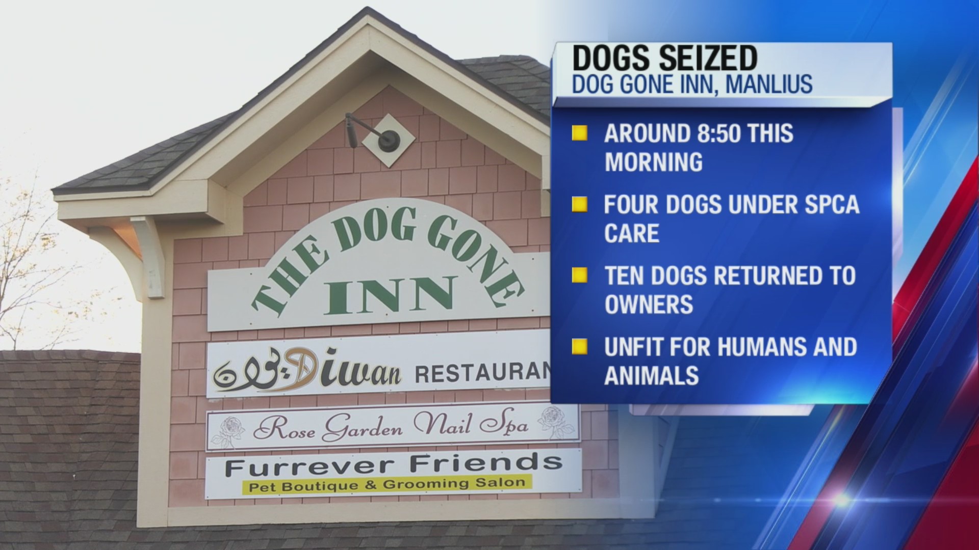 Dogs seized after warrant executed at the Dog Gone Inn