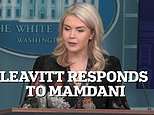 Karoline Leavitt fires back at Mamdani over Trump's voter fraud claims
