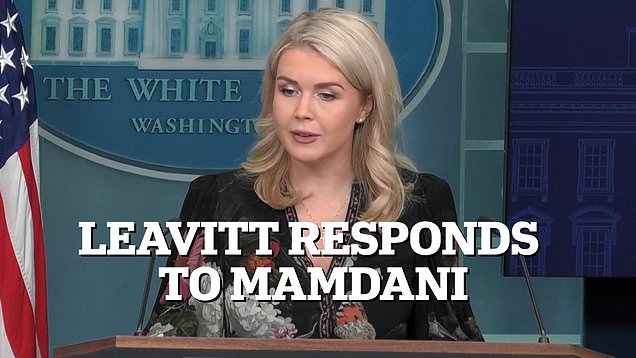 Karoline Leavitt fires back at Mamdani over Trump's voter fraud claims