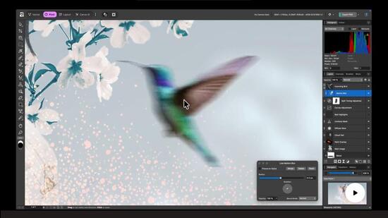 Adobe, Canva’s Affinity, Figma, Microsoft, and a case for creative open ...