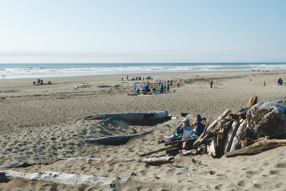 6 Hidden Washington Trails That Lead Straight to the Ocean You Need to ...