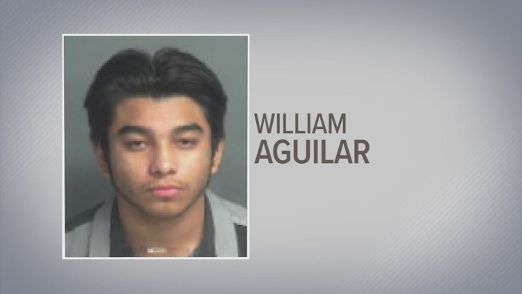 'Lost his life at the hands of someone he trusted' | Man accepts plea ...