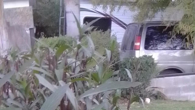 Gardener warned after sharing photos of concerning growth in yard: 'It ...