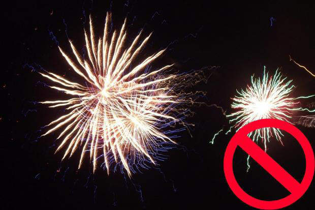 'Private fireworks should be banned’ in south east London