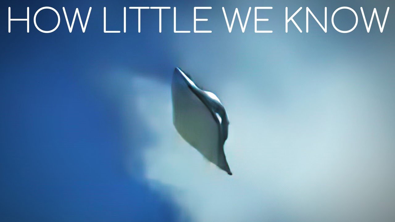 Multiple US Navy Sensors Detected Something Impossible in the Skies