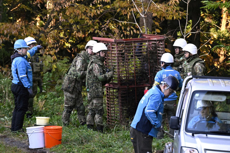 Japan deploys troops in bid to stem surge in deadly bear attacks