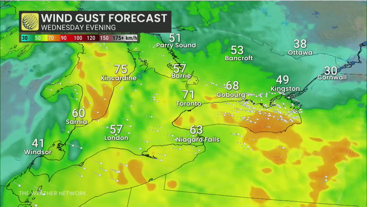 Special weather statements in place as gusty November winds roll in