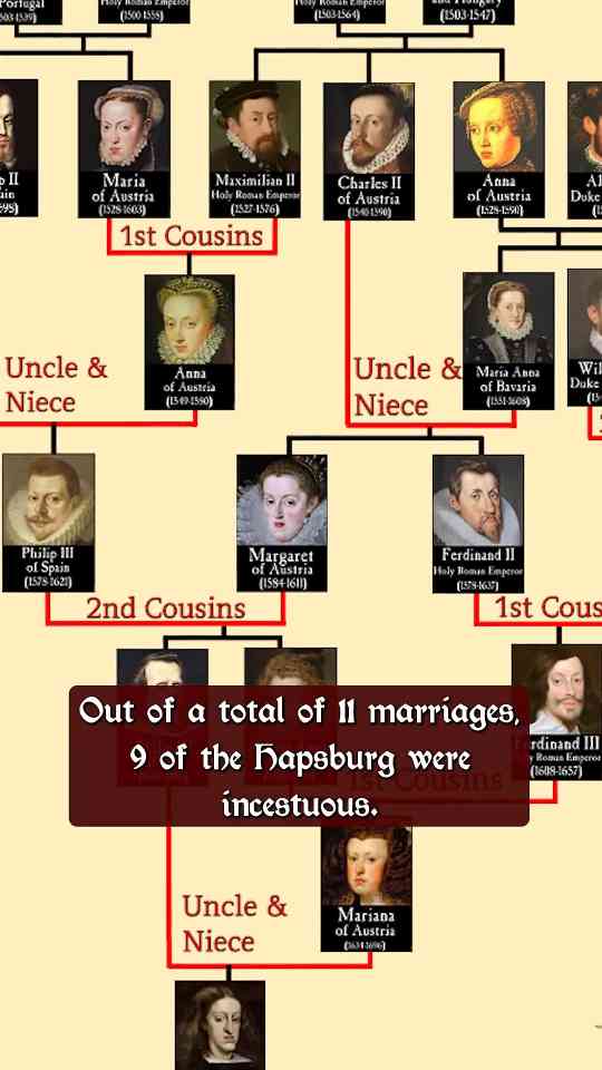 Here's What 16 Generations of Inbreeding Looks Like
