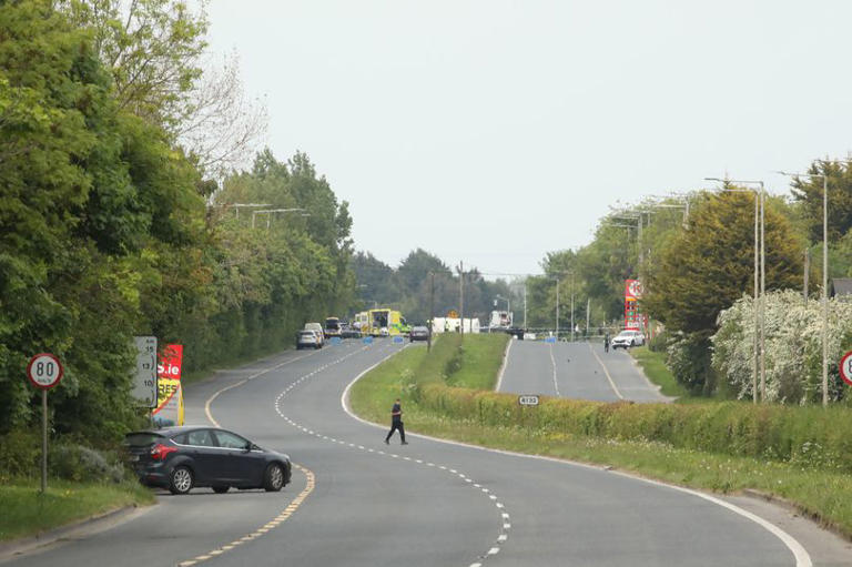 Garda killed at Dublin checkpoint died due to traumatic injuries from ...