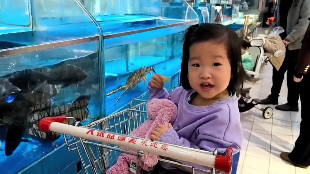 Moment supermarket fish leaps from tank and slaps giggling girl in face