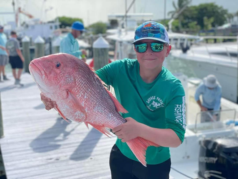 FWC asks anglers to apply to catch red snapper out of season for ...