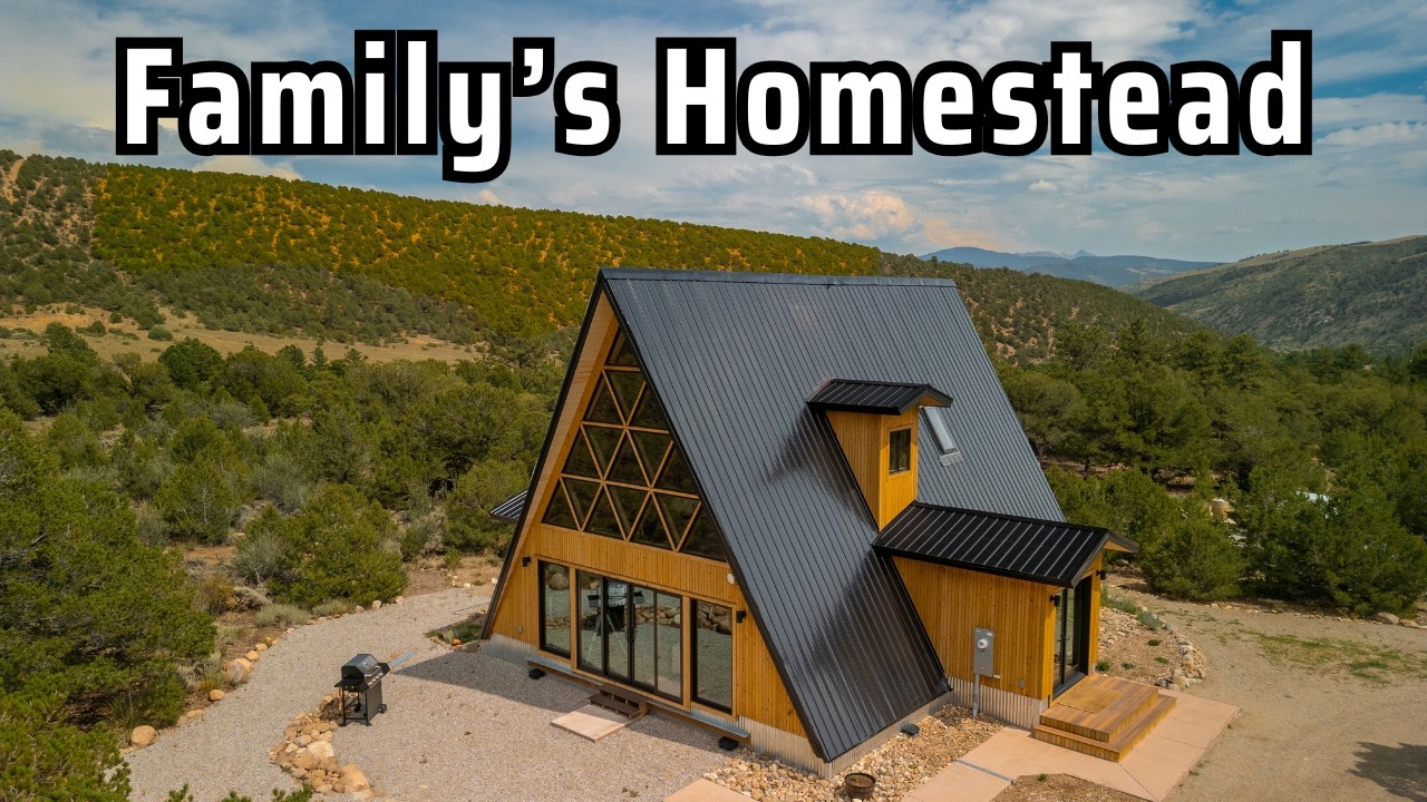 Family finds freedom: Van life to bus tiny home & A-frame on 18 acres