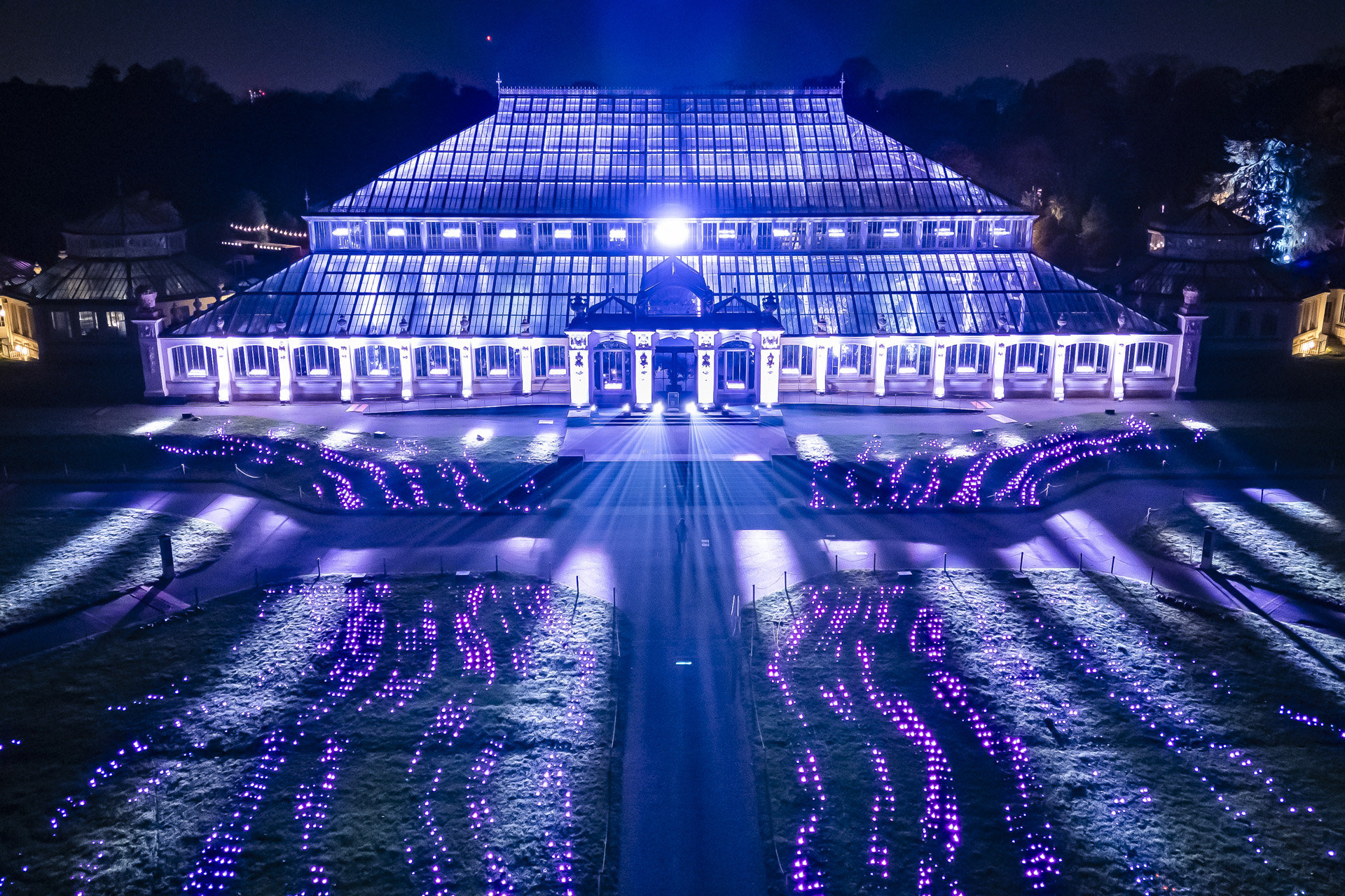 Magical light festivals to check out this winter