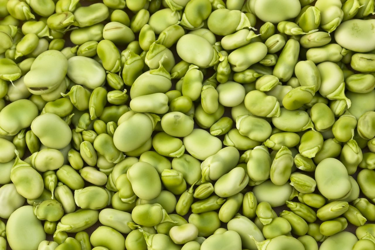 Lima beans