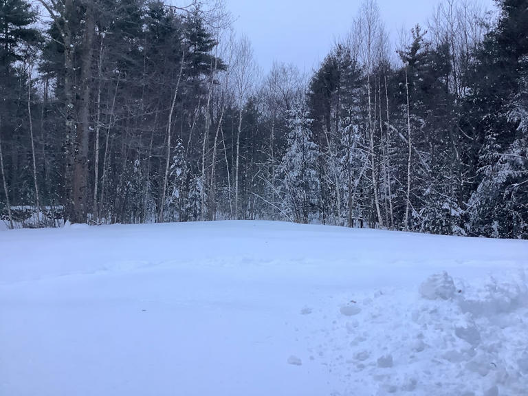 Cold wave to grip eastern U.S. with snow in Midwest, Appalachians ...