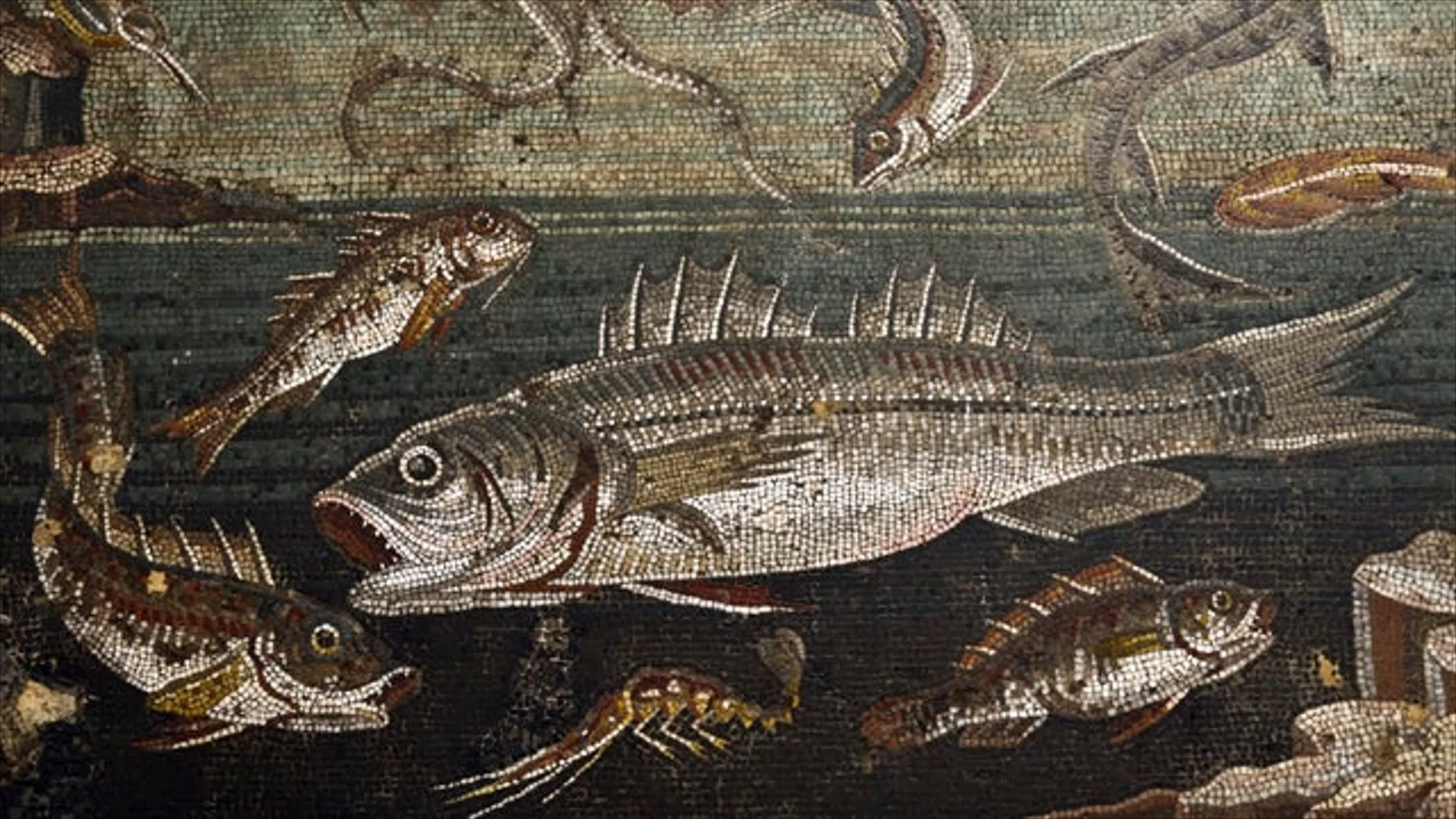 How a Fish Bankrupted the Roman Aristocracy?