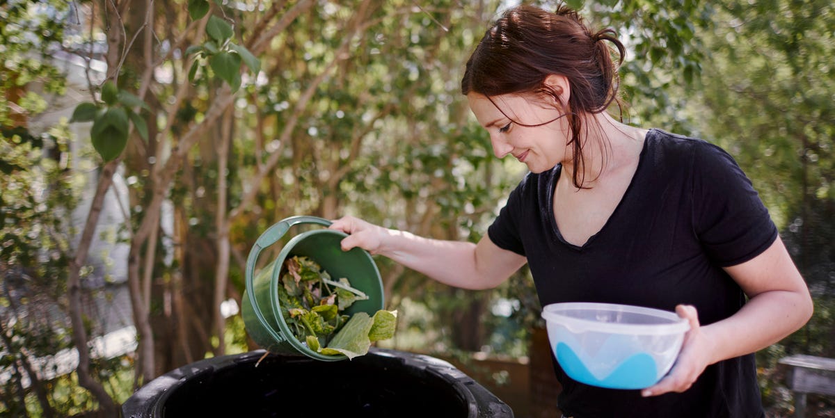 From onion skins to garden weeds: 7 things never to throw on the ...