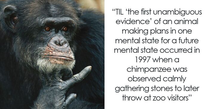34 Intriguing “Today I Learned” Facts That Show How Little We Actually ...
