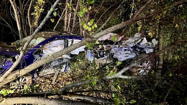 Car split in half after crash on Maryland interstate, driver walks away ...