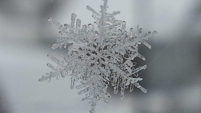 First chance for snowflakes in Chicago area has hit the forecast