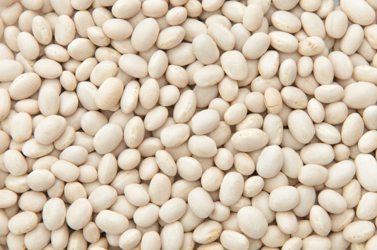 Haricot beans; navy beans