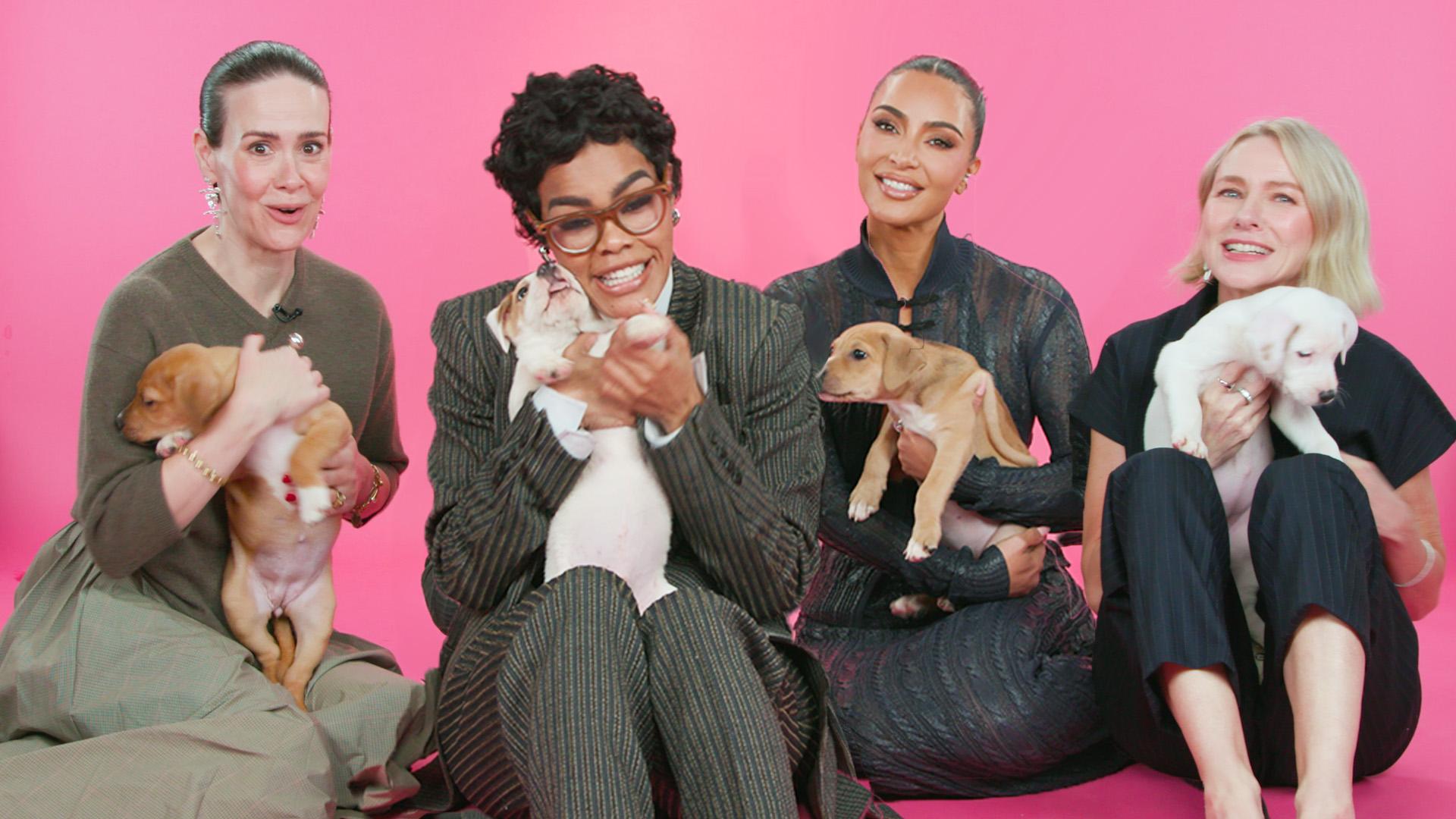 "All's Fair" Cast The Puppy Interview