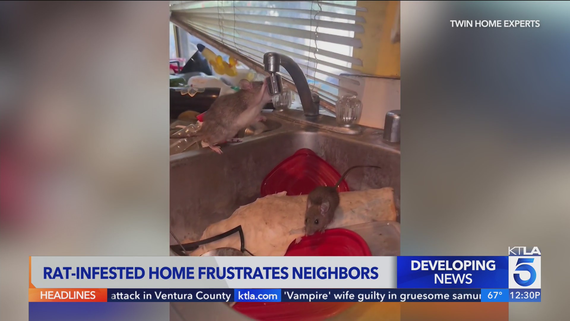 Rat-infested Orange County home frustrating neighbors
