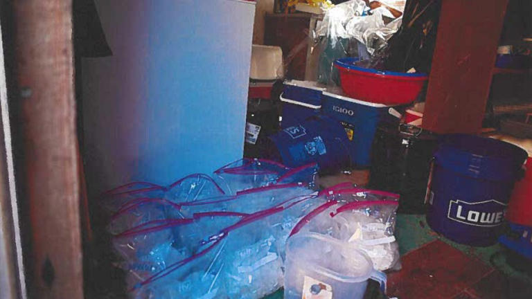 PHOTOS: 500 pounds of meth seized in South Carolina county