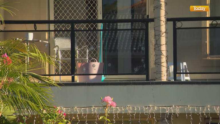 Bullets pepper Sydney home in overnight shooting