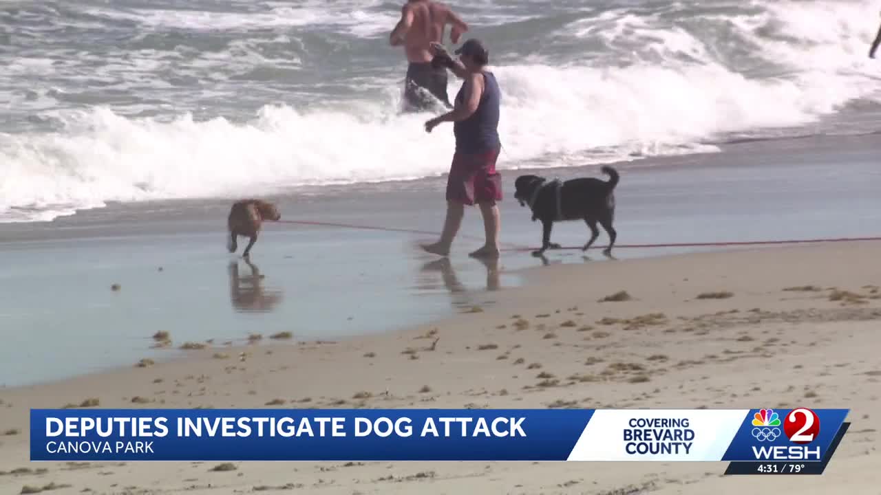 Deadly dog attack at Indian Harbor Beach in Brevard County