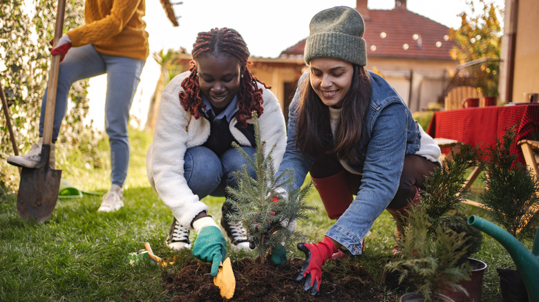 The Ultimate Fall Garden Guide: What To Plant, Prune, Propagate, And Plan