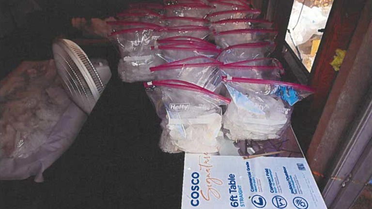 PHOTOS: 500 pounds of meth seized in South Carolina county