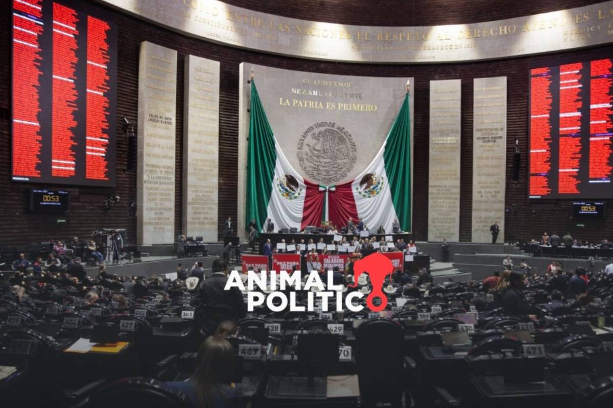 Diputados alistan ajustes de 17 mil mdp al presupuesto de 2026 ...