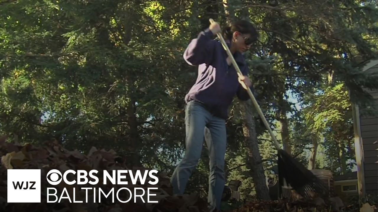 How to safely rake leaves and avoid injury during the fall