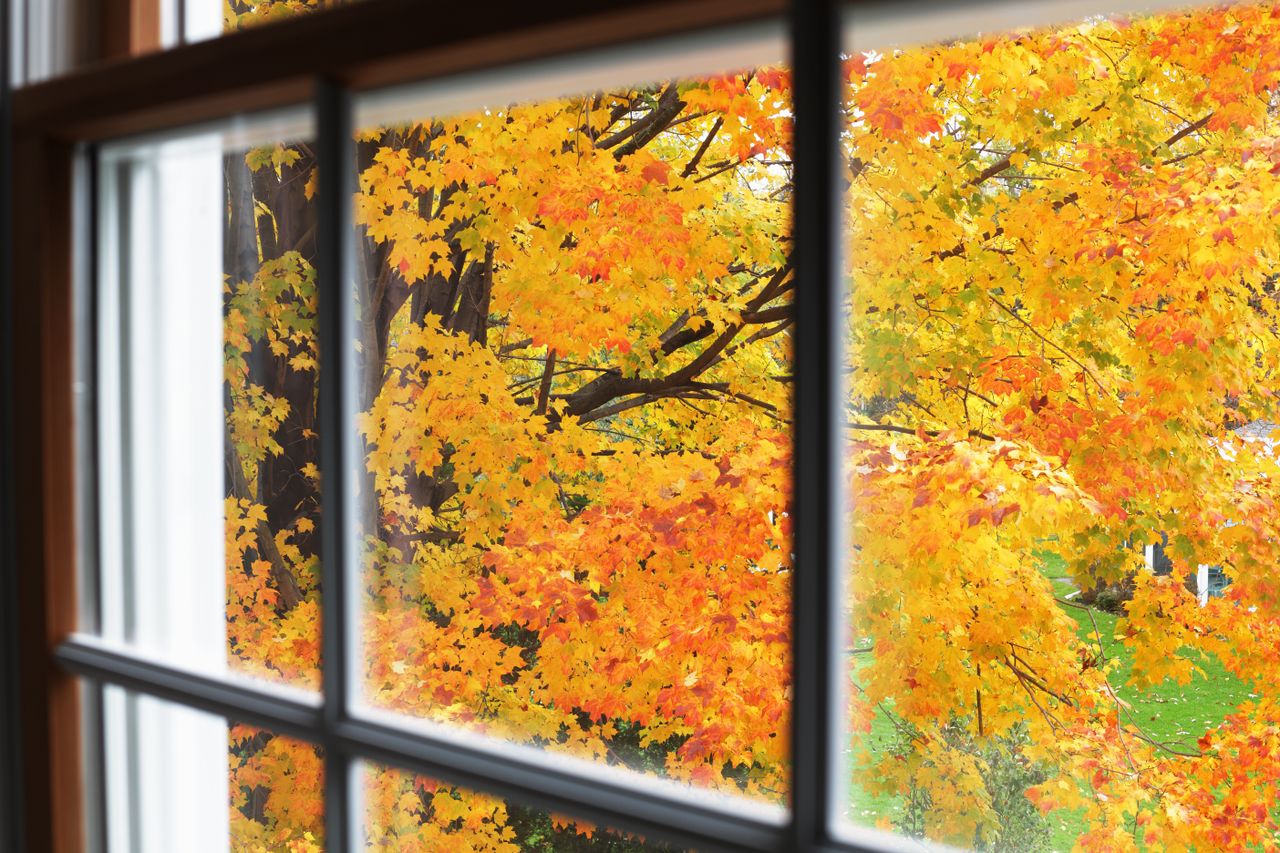 Fall leaves view through clean window