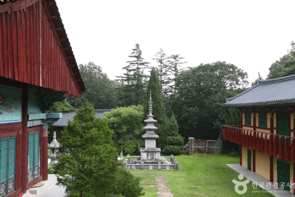 상주 명소, 감각을 깨우는 맛과 고즈넉한 풍경 속으로