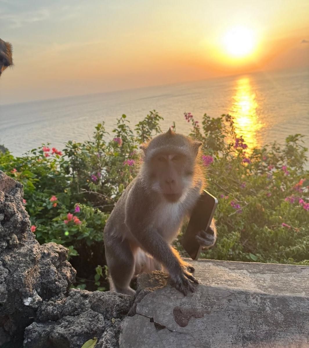 8 Potret Choo Young Woo di Bali 2025, Pemulihan Sambil Bekerja 8 AA1PTZBE