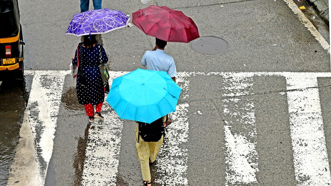 Mumbai: 25 tenders floated for beautification of western suburbs