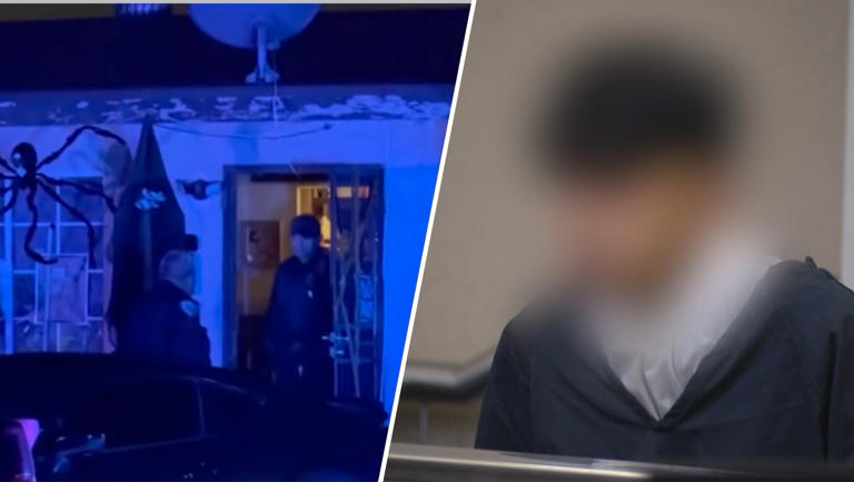 Teen pleads not guilty in Halloween party shooting that left 2 dead