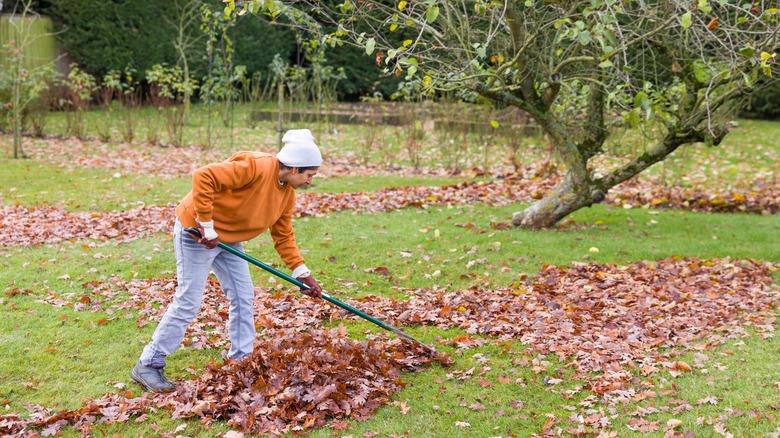 The Effective Method That Makes Raking Leaves A Total Breeze