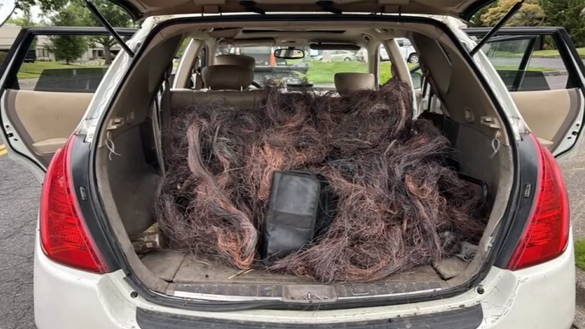 2 arrested in Portland copper wire theft investigation, damages total ...