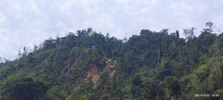 Batu bara 70.000 ton berhasil diselamatkan dari tambang ilegal di Kaltim